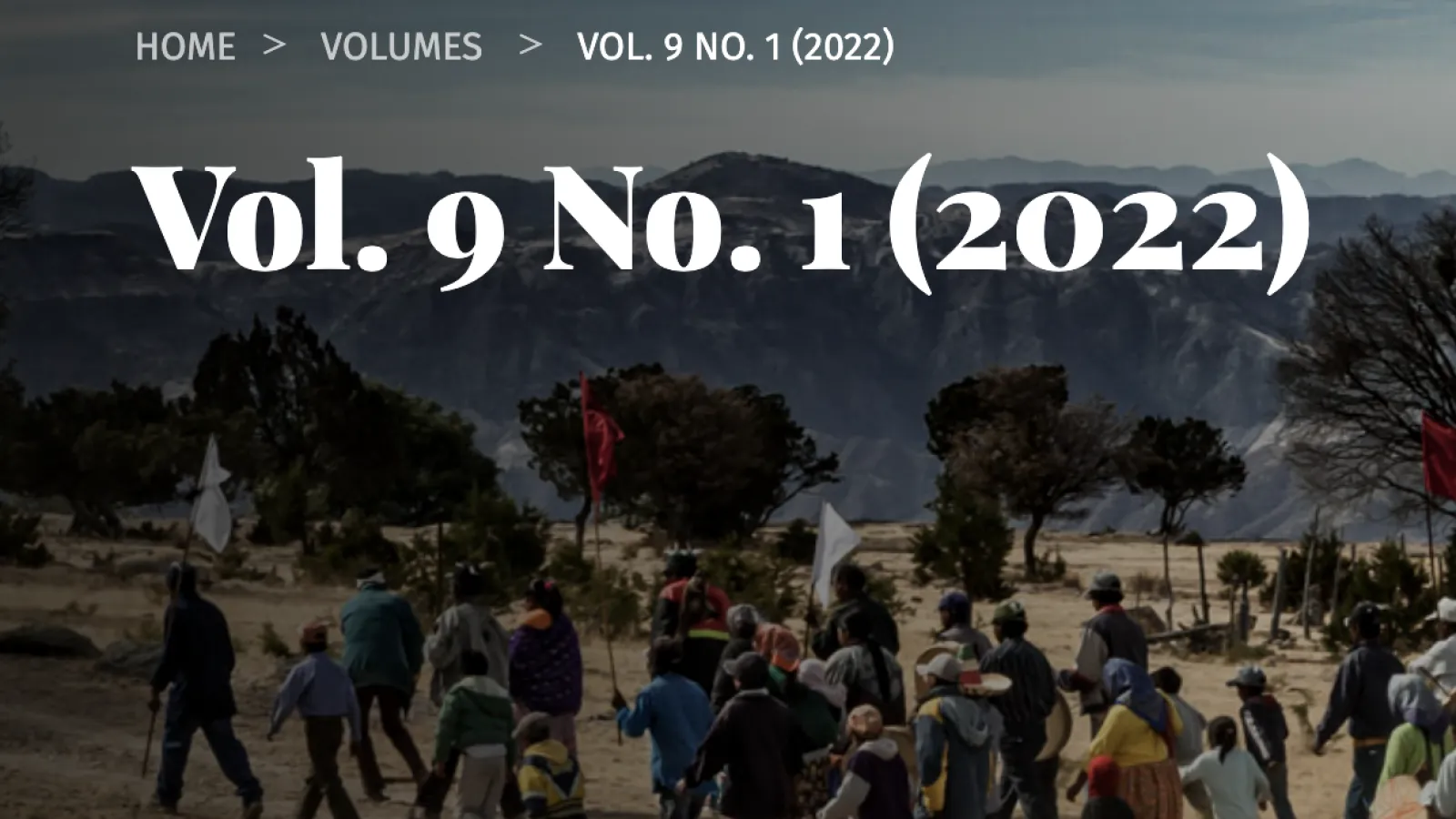 Cover photo of Volume 9.1 of Textos Hibridos