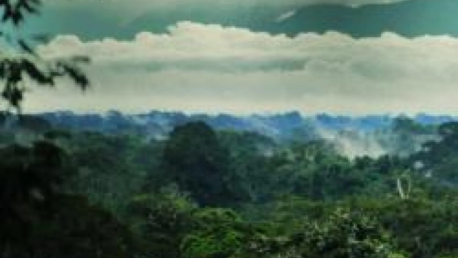 Andes Mountains