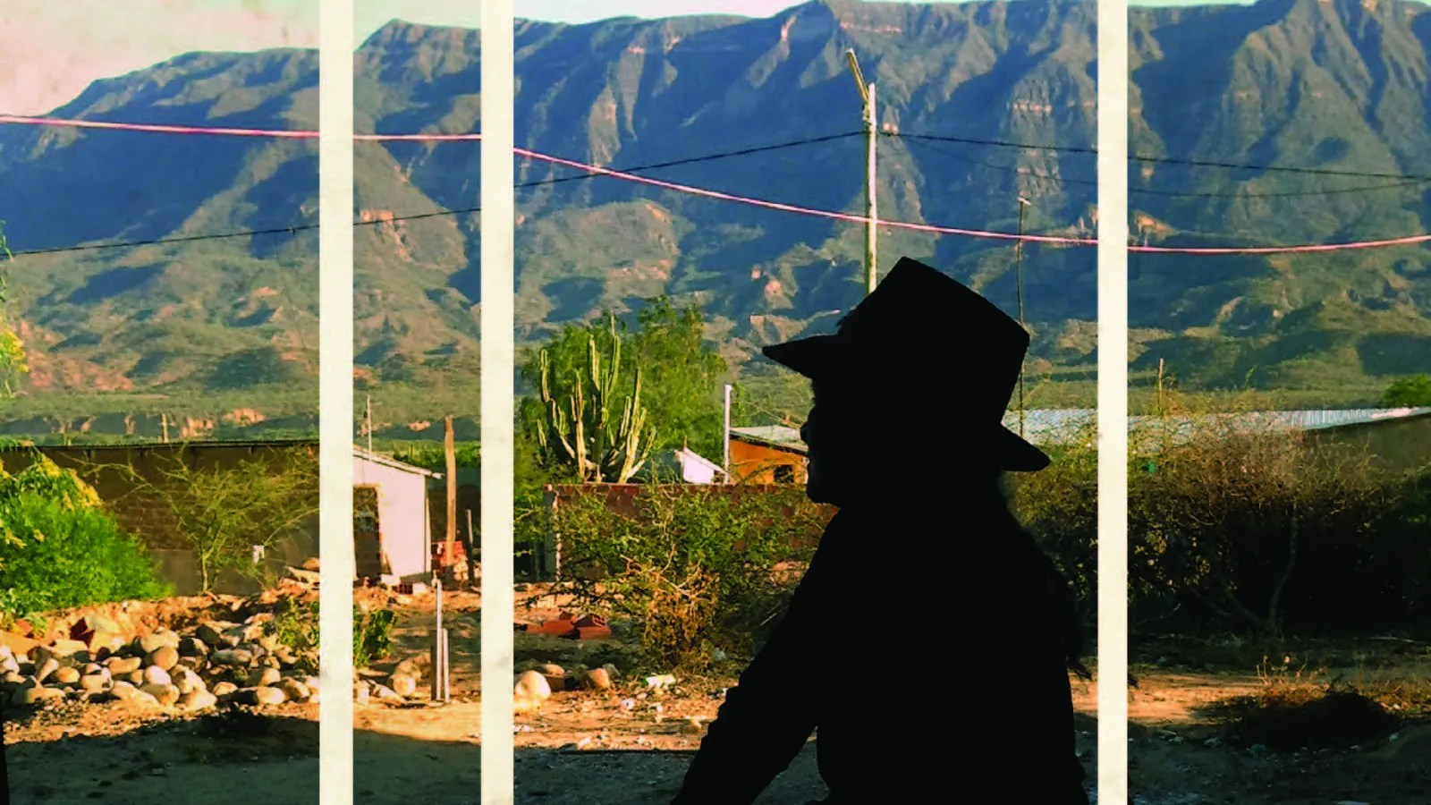 Monograph Cover